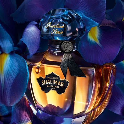 shalimar millésime iris - guerlain shalimar fragrantica.